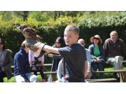Cotswold Falconry Centre